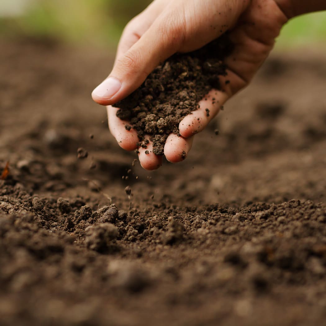 見つけるイメージ写真